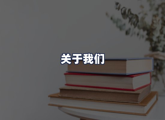 关于我们